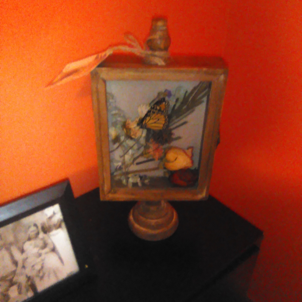Butterfly 🦋 vintage standing shadowbox